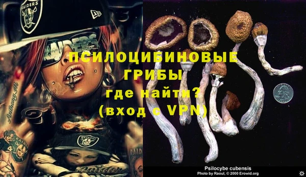 2c-b Алзамай