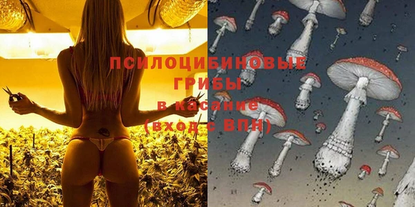 не бодяженный Алексин