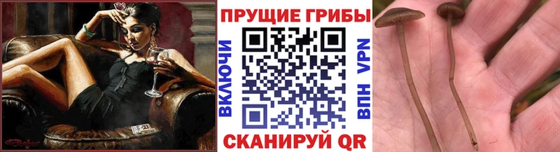 Галлюциногенные грибы Magic Shrooms  наркотики  ссылка на мегу вход  Похвистнево 